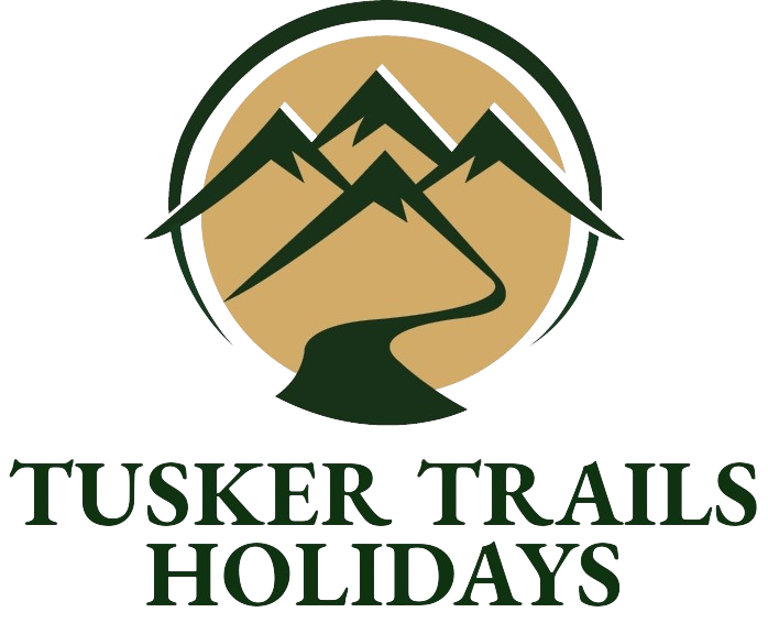 Kenya Safari Tours